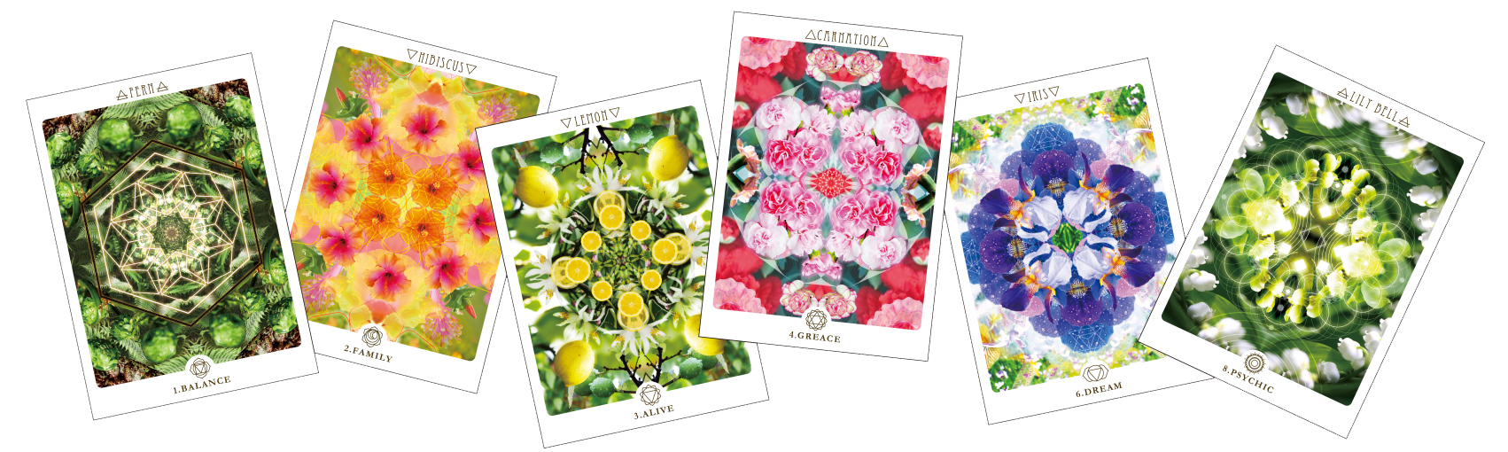 講座参加者の声 願いを叶える 花曼荼羅 講座参加者の声 願いを叶える 花曼荼羅